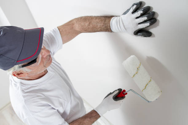 Best Mold Removal for HVAC Installations  in Elma, WA