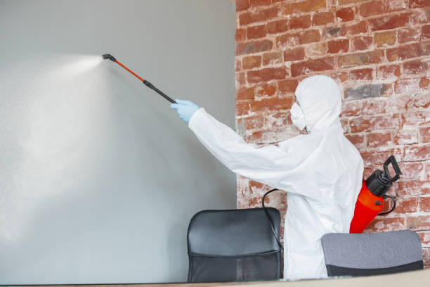 Best Mold Prevention Services  in Elma, WA