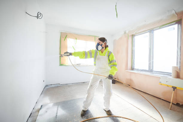 Best Attic Mold Removal  in Elma, WA
