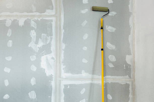 Best Black Mold Removal  in Elma, WA