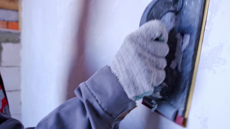 Best Mold Damage Restoration  in Elma, WA