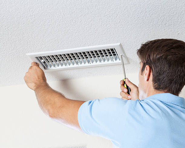 Trusted Elma, WA Mold Removal Experts