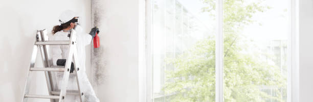 Mold Remediation for Vacation Homes in Elma, WA