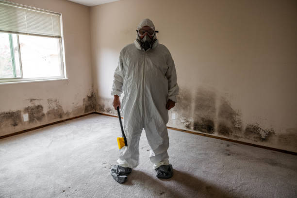 Best Post-Construction Mold Inspection  in Elma, WA