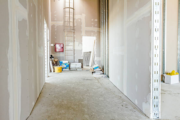 Best Basement Mold Removal  in Elma, WA