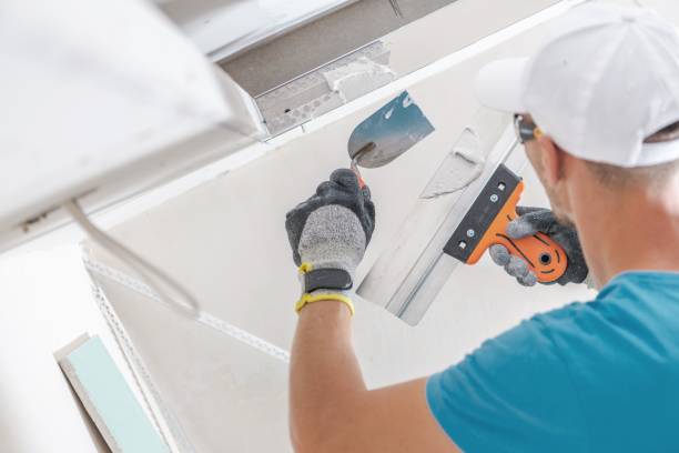 Best Forensic Mold Investigation  in Elma, WA